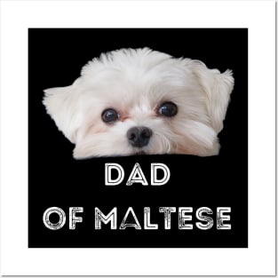 Dad of Maltese T-Shirt Posters and Art